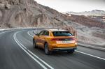 Audi Q8 50 TDI Quattro S-Line 2018 года (WW)